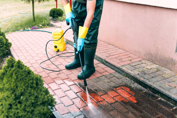 Best Graffiti Removal  in Ampere North, NJ