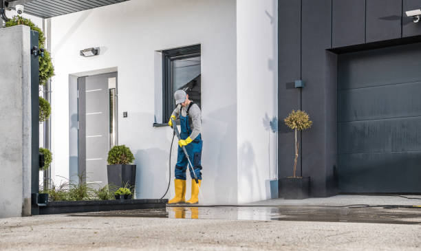 Boat and Dock Cleaning in Ampere North, NJ